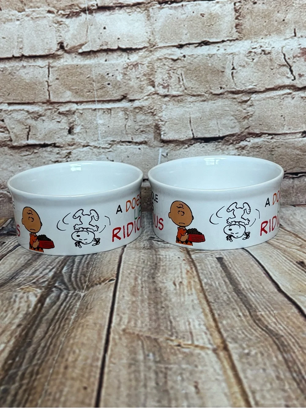 Peanuts Snoopy Charlie Brown Dog Cat Ceramic Pet Food Water Bowls Set 4.5
